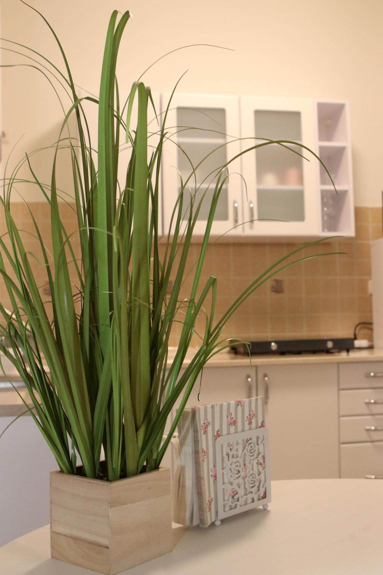 Tulipan Apartman Gödöllő Екстериор снимка